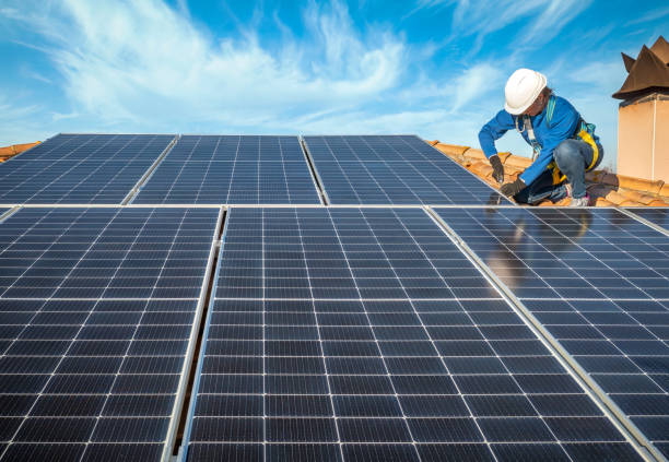 Best Roof Moss and Algae Removal  in Maywood, CA