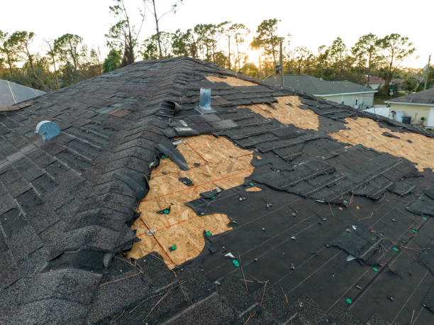 Roof Coating Services in Maywood, CA